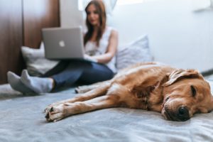 Online Chat Counselling